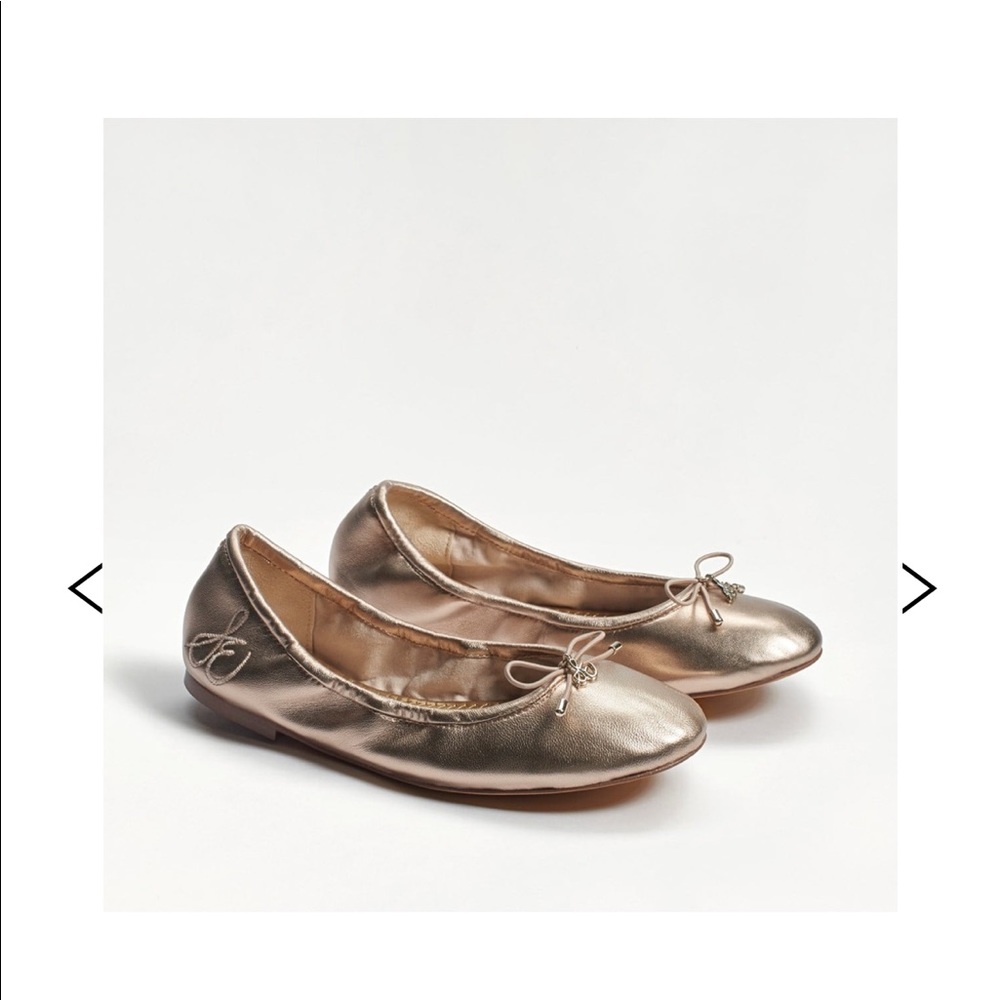 NWT Sam Edelman Felicia Flats